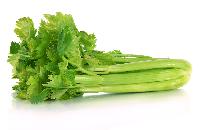 Celery