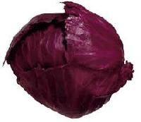 Red Cabbage