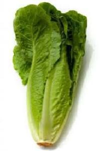 Romaine Lettuce