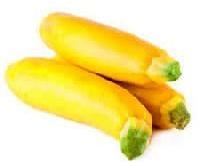 Yellow Zucchini