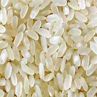 White Short Rice