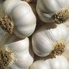 White Garlic