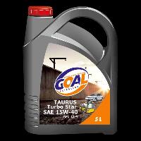 Four Wheeler Engine Oil