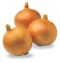 Onion