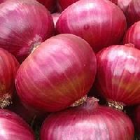 red nasik onion