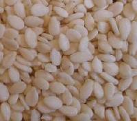 Sesame Seeds