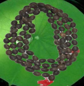 Lotus Beads Malas