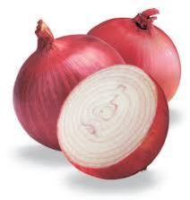 Onion