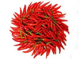 Fresh Red Chilli