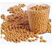 Soya Protein