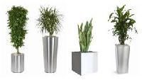 stainless steel plant pots