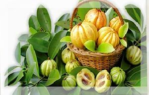 Garcinia Cambogia