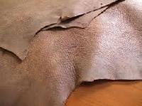 horse leather