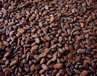 Cocoa Products