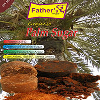 Palm Sugar