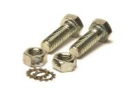 Alloy Steel Bolts