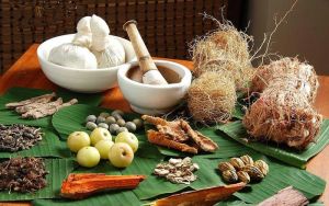 Ayurvedic Herbs