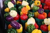 Color Capsicum