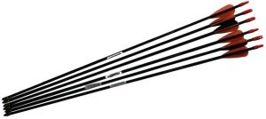 Junior Target Practice Carbon Fibre Arrows Set