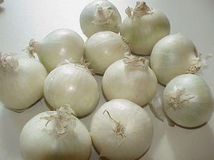 Fresh White Onion