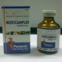 Moxicamplus Injectable