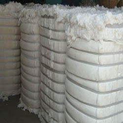 Cotton Bales