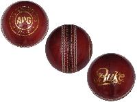 Cricket Leather Ball (pampa) for Practice