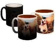 Magic Mugs