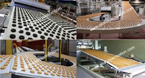 PU & PVC Conveyor Belt