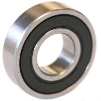 Stainless Steel Bearing