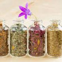 Herbal Medicine Project Consultancy Services