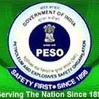 PESO Consultancy Services