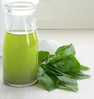 Basil Oil