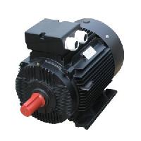 Multi Speed Motor