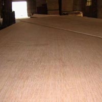 Gurjan Plywood