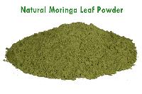 Moringa Oleifera  Leaf Powder