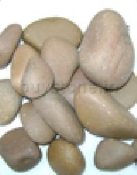 Sappota Pebbles