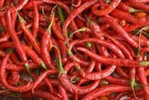 Red Chillies