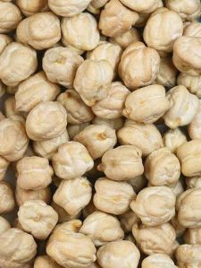 White Chickpeas