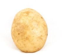 Atlantic Potato