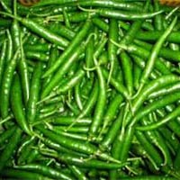 Indian Fresh Green Chilly