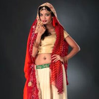 Chiffon Lehenga Choli