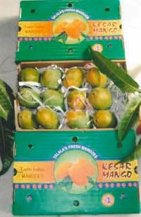 Organic Keshar Mango