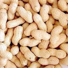 Shelled Peanuts