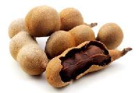 tamarind kernel