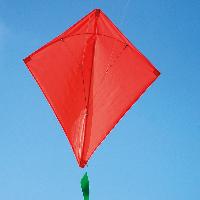 fighter kites