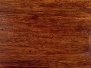 Teak Wood