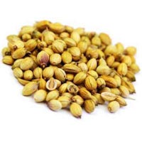 Coriander Seeds