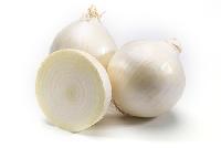 Fresh White Onion