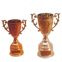 Fiber Trophy Cups